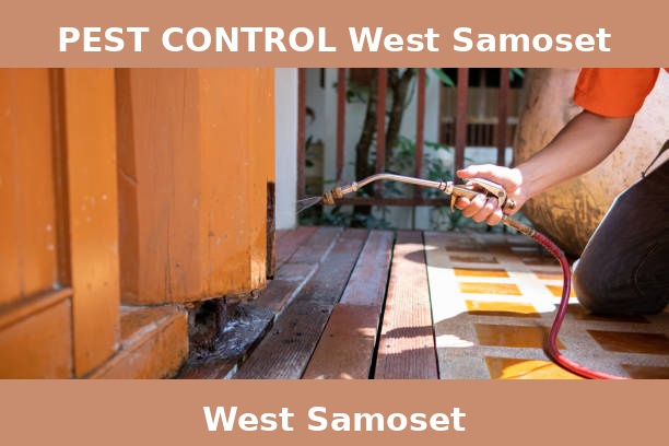 PEST CONTROL West Samoset